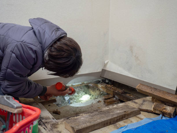 Best Mold Odor Removal Services  in Cumberland, WI