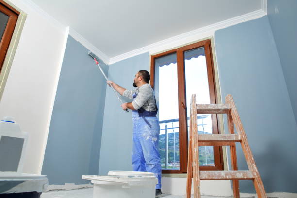 Best Black Mold Removal  in Cumberland, WI