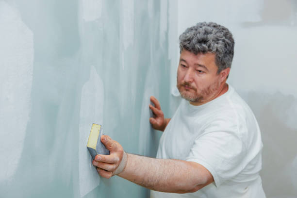Best Water Damage & Mold Remediation  in Cumberland, WI