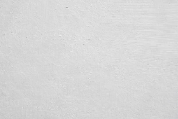 Best Mold Damage Restoration  in Cumberland, WI