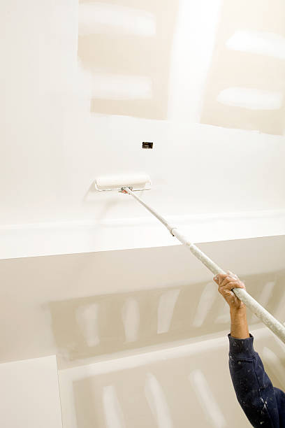 Best Emergency Mold Remediation  in Cumberland, WI